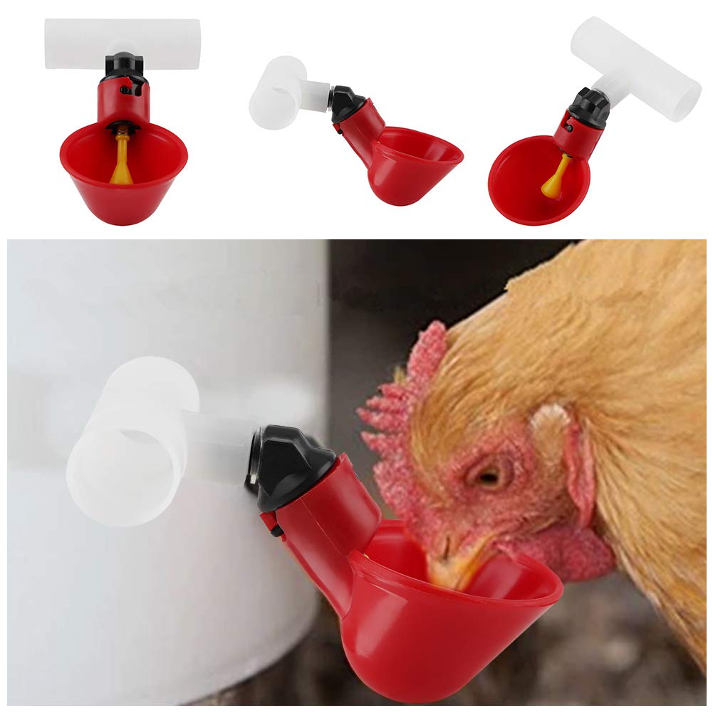 5 sztuk automatyczne plastikowe kubki do picia kurczaka poidełko do drobiu dozownik do wody kubki miski poidło do wody narzędzie dla ptaka przepiórka gołąb kurczak kura (20mm rura)