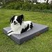 your GEAR Biella Orthopädisches Hundebett 100x70x10 cm – bequemes Hundesofa waschbar & wasserabweisend – Visco Memory Foam Hundematte – Gelenkschonendes Hundekissen für mittelgroße & große Hunde