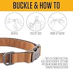 Carhartt Field Dog Collar, Fully Adjustable, Durable 600-Denier Fabric W/Reflective Wordmark for Visibility, Rose Tint, Medium - Image 3
