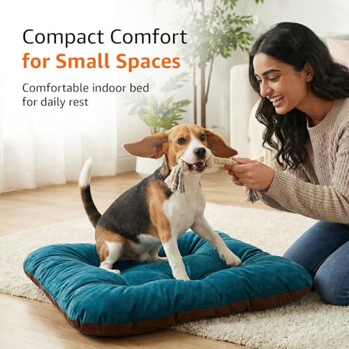 Image of Amazon Basics Pet Bed | Medium| Reversible Premium Velvet Pet Bed for Cats & Small /Medium Dogs (Pug, Beagle, French Bulldog) | Soft & Durable | Coffee & Light Blue | 72 x 72 x 7 cm