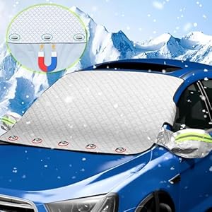 VITHA Windschutzscheibenabdeckung für VW Magotan