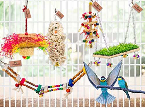 GREENBIRDS-Pack-of-5-Pcs-Bird-Colorful-Chewing-Foraging-Shredder-Toys-Grass-Swings-Ring-Perch-Parrot-for-Bird-Parrot-Parakeets-Conures-Cockatiel-Lovebird