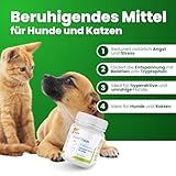 Dolvit Calm Beruhigungsmittel für Hunde und Katzen 30 Tabletten, Entspannungs- & Anti-Stress-mittel für Hunde mit Baldrian, L - Tryptophan und Zitronenmelisse, Schmackhaft und Leicht Enzunehmen