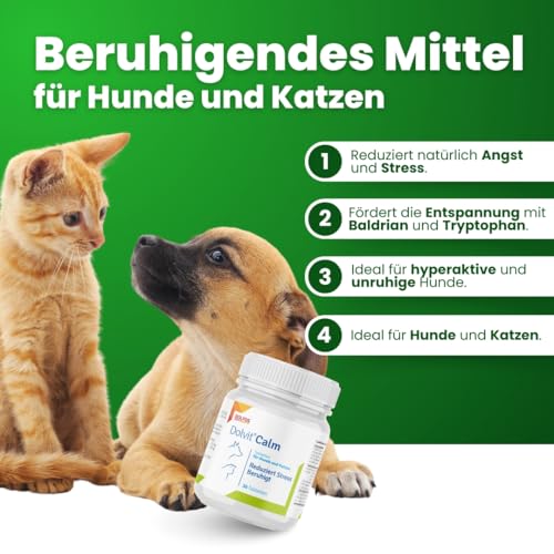 Dolvit Calm Beruhigungsmittel für Hunde und Katzen 30 Tabletten, Entspannungs- & Anti-Stress-mittel für Hunde mit Baldrian, L - Tryptophan und Zitronenmelisse, Schmackhaft und Leicht Enzunehmen