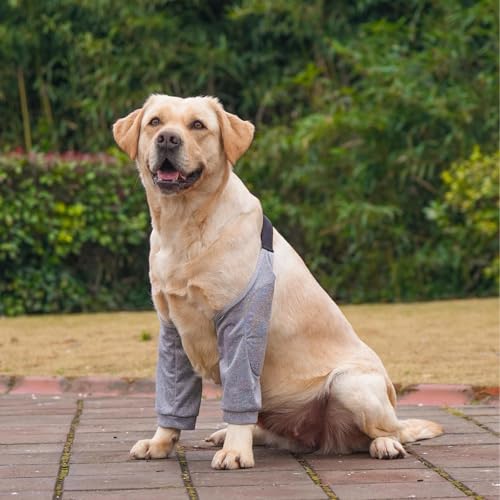 FINELYCR Kniebandage Hund, 2 Stück Ellbogenschoner für Hunde, Größe XXL Recovery Sleeve Hund, Schwarz und Grau, mit Mesh Ellbogenpolstern, Schützt die Gelenke und Knie des Hundes