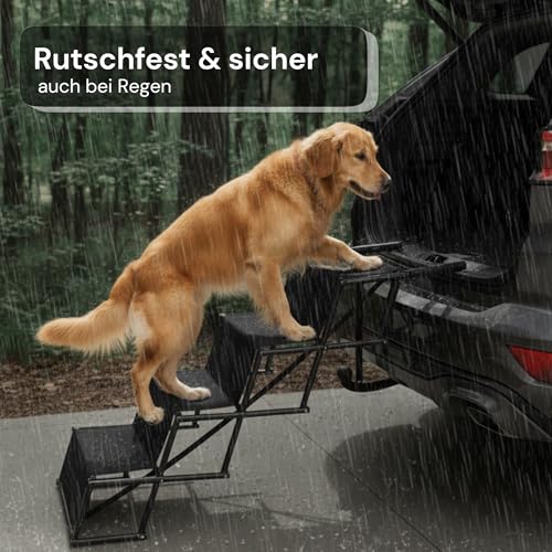 CANISPHERE Hundetreppe Auto Klappbar - Faltbare Einstiegshilfe für Kleine bis Große Hunde - Höhenverstellbare Hunderampe & Hundeleiter Auto - rutschfest & Gelenkschonend - Ideal für PKW & SUV