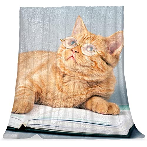 Couvertures en microfibre chat orange plaid peluche chaud lit et sieste salon