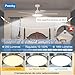 Imagen de Passky Ventilador de Techo con Luz Silencioso 132cm