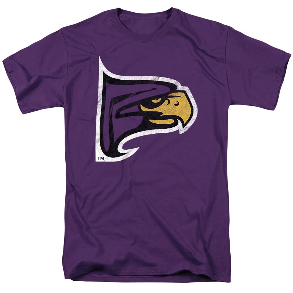 LOGOVISION Official Collegiate Distressed Primary Logo Adult T-Shirt Collection — view 246