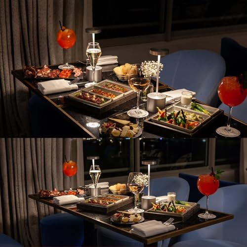 SAKRINGT Outdoor Table Lamp,LED Table Light,Cordless Table Lamp Rechargeable,5000mAh Battery Powered Dimming Desk Lamp for Restaurant/Patio/Outdoor(Silver)