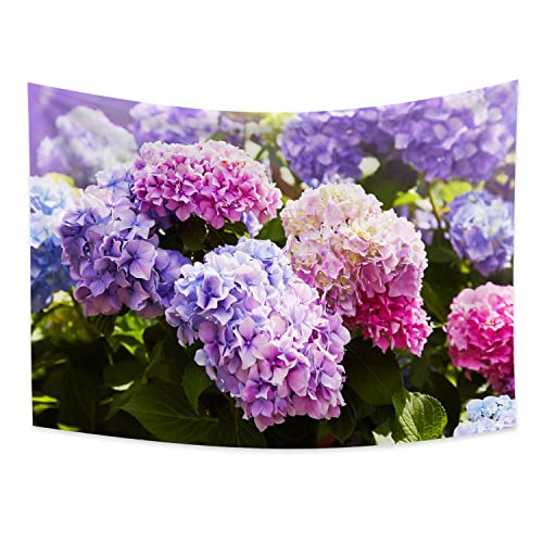 Qinunipoto ^yXg[ z AWTC ԕ ? Ă̐A 200x150cm A[g fR[V @\  Ǌ| CeA ͋C]  z|X^[ J[e rfIc Bep wiz Vj Mtg |