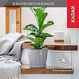 Zoom IMG-2 kadax flowerpot fioriera con sottobicchieri Zoom IMG-2 kadax flowerpot fioriera con sottobicchieri