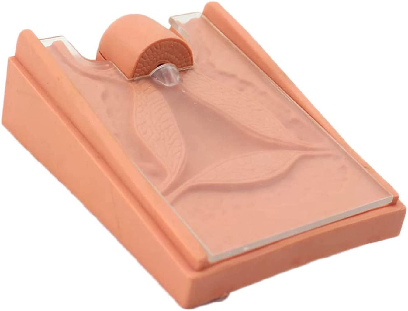 Modello di Guida alla Contraccezione Modello di Addestramento alla Contraccezione Intrauterina Modello di Dispositivo per Il Parto Interno Ed Esterno Dell'Utero Femminile Display Didattico