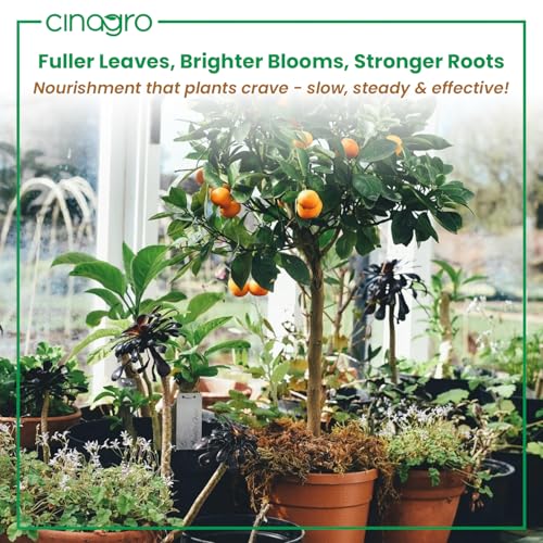 Image of Cinagro Plant Food Fertilizer Sticks Pack of 20, Natural Magic for Plants | Multi-Purpose Natural Growth Booster, For Flowers, Fruits & Leafy Plants