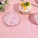 SUNNYCLUE 100G Nail Art Slices Resin Sprinkles Mini Polymer Clay Cabochons Pink Strawberry Beads Fruit Slices Charms Faux Sprinkles for Nail Art Decoration Jewelry Making DIY Crafts Women Supplies