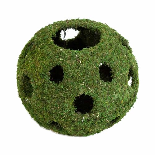 Galápagos (05345) Mossy Cave with Holes | Natural Reptile Hide for Bearded Dragons, Geckos, Snakes, Tortoises, Frogs, Hermit Crabs, and Lizards | Terrarium Decor, 12in Diameter