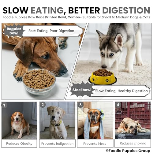 Image of Foodie Puppies Stainless Steel Dog Bowl Combo - (Medium, 700ml) Food and Water Feeding Gift Bowl | Suitable for Dogs, Cats and Other Pets I Paw Bone Print, Anti-Skid Rubber Base (Black + Yellow)