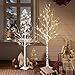 EAMBRITE 5FT 6FT White Birch Tree Set Christmas Tree Decorations, Lighted Artificial Twig Trees Outdoor Indoor, Prelit Tree with Timer & Light Dimmer for Home Porch Xmas Decor (2 Pack, Warm White)
