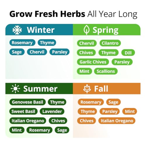 Image of HOME GROWN Herb Seeds for Planting 15-Pack Massive Seed Count 4,300+ Seeds Non-GMO Heirloom | Extra Large | Culinary Herb Kit, Indoor Outdoor & Hydroponic | Grow Your Own Herbs | Gardening Gift