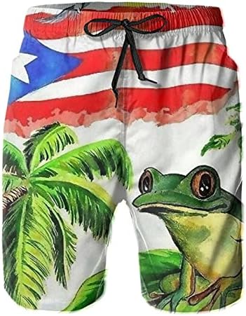 Mens Swim Trunks Puerto Rico Flag Frog Swimming Trunks Vintage American Flag Board Shorts Summer Quick Dry Surf Beach Shorts (s, Black)