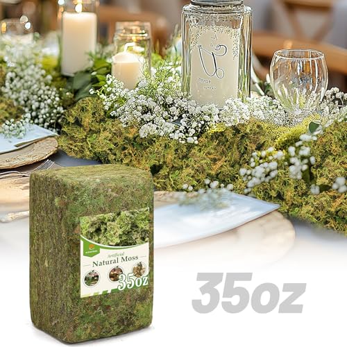 Alphatool 35oz Jumbo Pack Natural Green Moss for Crafts - Bulk Moss for Plants Indoor, Artificial Fairy Gardens, Mosswall, Filling Fake Plants, Floral Design, Home Decoration, Professional DIY Use