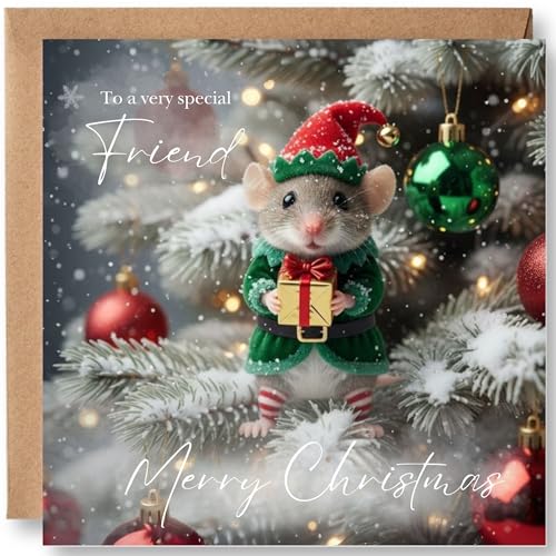 Felbridge Studio - Best Friend Christmas Card - Special Friend Christmas card - Friendship Xmas Cards - Cute Gifts for Friends BFF - 14cm