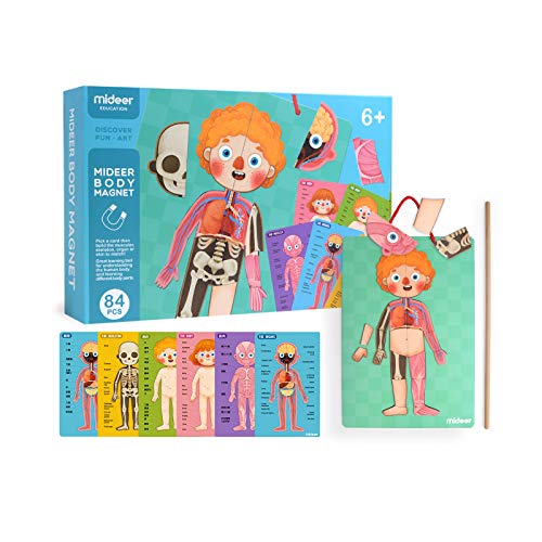 Mideer Human Body Model Puzzle For Kids, 90 Magnetic Puzzles Human Anatomy Play Set To Learn Body Parts, Organs, Muscles And Bones, Funny Gifts For Ages 6+ #TOP6