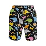 WIHVE Men's Beach Swim Trunks Dinosaur Boxer Swimsuit Underwear Board Shorts with Pocket