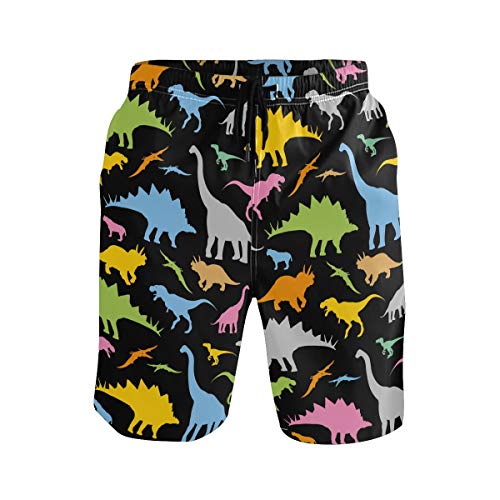 WIHVE Herren Strand Badehose Dinosaurier Boxer Badeanzug Unterwäsche Boardshorts mit Tasche, schwarz Cover