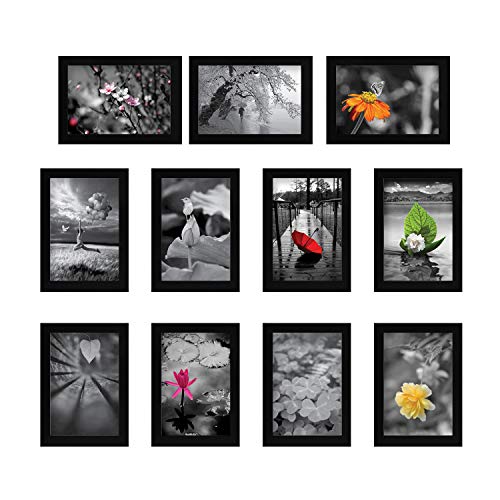 Image of Amazon Brand - Solimo Collage Set of 11 Black Photo Frames (5 X 7 Inch - 11)