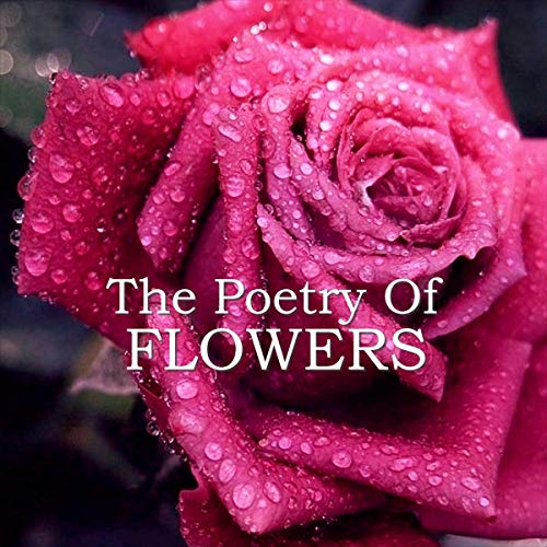 The Poetry of Flowers by Percy Bysshe Shelley, Rabindranath Tagore, D. H. Lawrence episode artwork