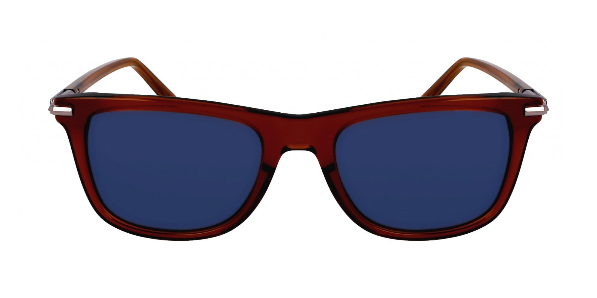 FERRAGAMO Unisex SF2028S Sunglasses, TRASPARENT Brown, 54, marrone trasparente, 54