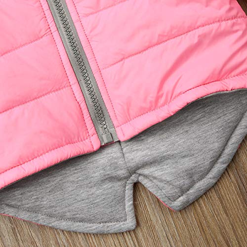 Moreeluck 1-7 Years Kid Toddler Baby Boys Girls Dinosaur Winter Outfit Casual Zipper Lightweight Hooded Jacket Thick Warm Hoodies Coat Outwear (Pink, 2-3T) #TOP7