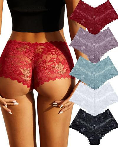 FINETOO 5 Pack Sexy Lingerie Panties for Women Pack V-Waist Lace Womens Underwear French Cut Boyshorts Panty
