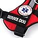 ALL ACCESS CANINE Service Dog Therapy Dog ESA Support Animal Harness - No Pull Reflective Vest - ID Pocket Handle - Waterproof Adjustable Mesh - Includes 10 Info Cards