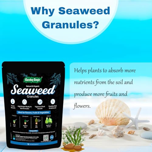 Image of Garden Genie Seaweed Extract Granules for Plants 900 Gm | Organic Fertilizer and Growth Promoter for All Indoor, Outdoor Home Garden Plants