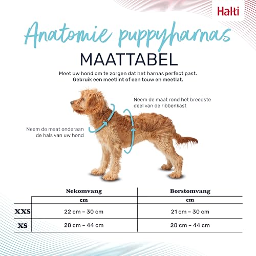 Image of Halti Anatomy Puppy & Small Dog Harness | Size XS, Grey | Soft & Comfortable Step-in Harness, 4 Adjustable Points, Lightweight & Reflective, For Miniature and Toy Dog Breeds