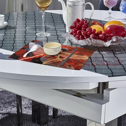 Set de table lavable pour protéger la table des taches lot 6 - 5