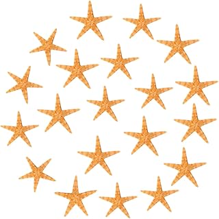 Ipetboom 100 Pçs Enfeite De Bolo Decoração De Bolo Concha Artesanato De Praia Decoração De Bolo Decoração De Aquário De Peixe Mini Estrela Do Mar Natural Conchas Do Mar Decoração De