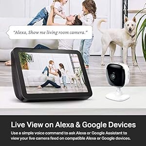   Kasa-Smart-Security-Camera-for-Baby-monitor-1080p-HD-Indoor-Camera-for-Home-Security-with-Motion-Detection-Two-Way-Audio-Night-Vision-Cloud-SD-Card-Storage-Works-with-Alexa-Google-Home-EC60