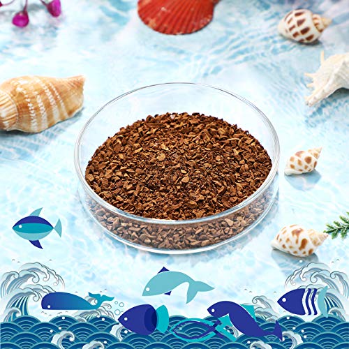 Patelai 3 Pieces Aquarium Shrimp Feeding Dish Glass Fish Clear Tank Feeding Bowl Food Bowl Freshwater Tray Feeder - Image 5