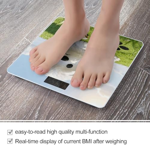 Báscula digital cuerpo mascota huella 180 kg LCD miniatura 5