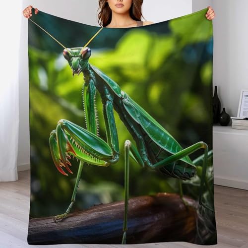 Couverture chaude en flannel légère et isolante pour lit frileux