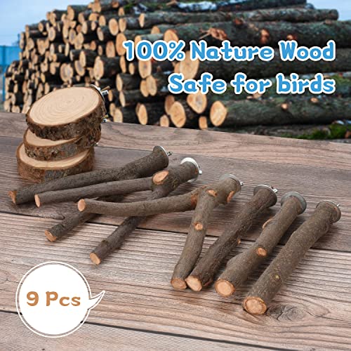 Image of 36 PCS Bird Perches Stand Toy, Natural Wood Parrot Perch Stand Bird Cage Branches Platform Accessories for Parakeets Cockatiels Conures Macaws Finches Love Birds