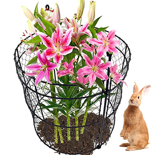 JILLSKY 10 Pack Garden Plant Protection Cloches 14"x16", Heavy Duty Chicken Wire Plant Protectors, Rustproof Metal Garden Cages to Shield Seedlings, Flowers & Vegetables from Animals - Image 4