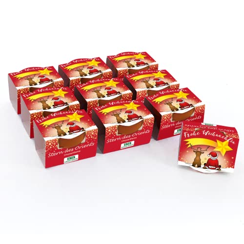 Bull & Bear 10er Set Mini Pflanzset 'Frohe Weihnachten' mit Samen für Stern des Orients im Topf...