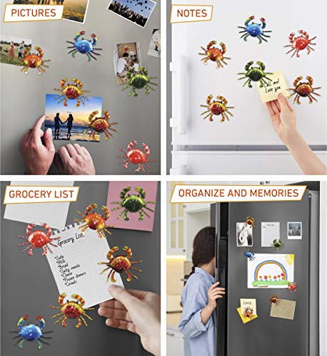 Set de 6 Imanes Decorativos de Cangrejo con Cabeza Movible miniatura 3