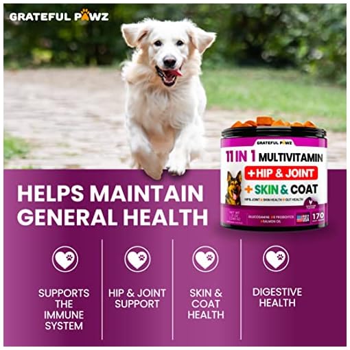 Dog Multivitamin Chewable with Glucosamine Dog Vitamins and