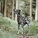 Hunter DIVO Hundegeschirr, XS, 34-47 cm, braun/grau