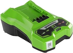 Greenworks 24V 2A Battery Charger, Suitable for 24V G24B2 and G24B4 Batteries, Original Greenworks, Wall Mountable + LED Charging Indicator, 3 Year Warranty